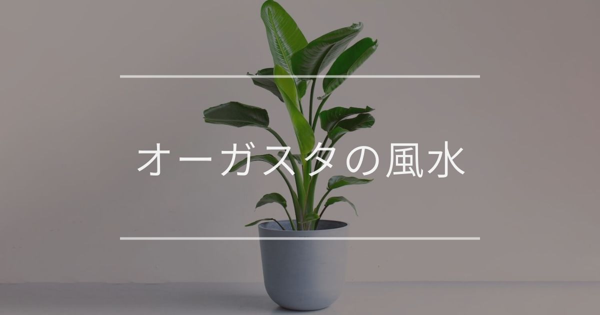 オーガスタ