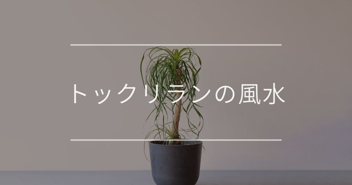 トックリラン