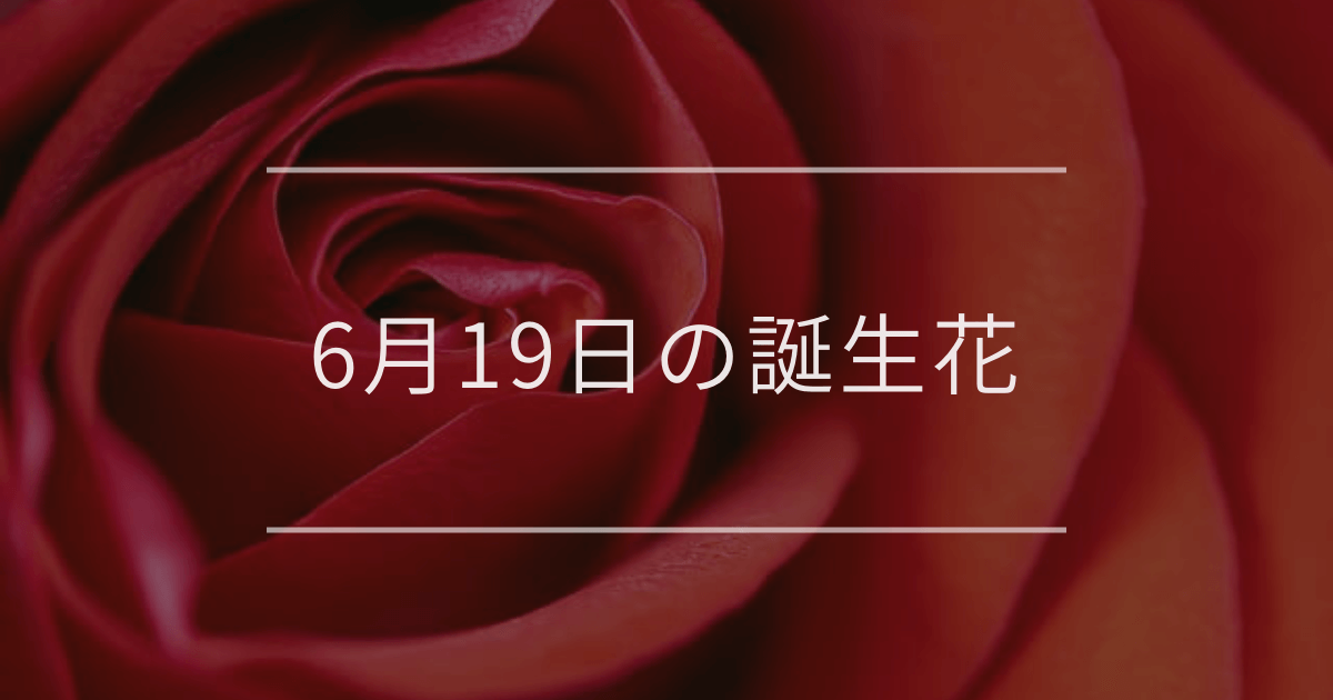 6月19日の誕生花
