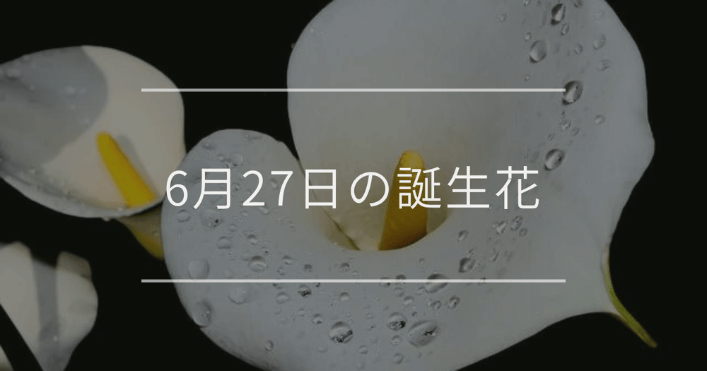 6月27日の誕生花：カラー・トケイソウの花言葉など