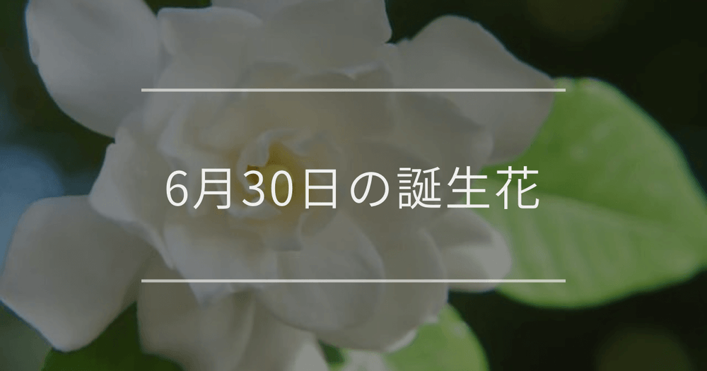 6月30日の誕生花：クチナシ・スイカズラの花言葉など