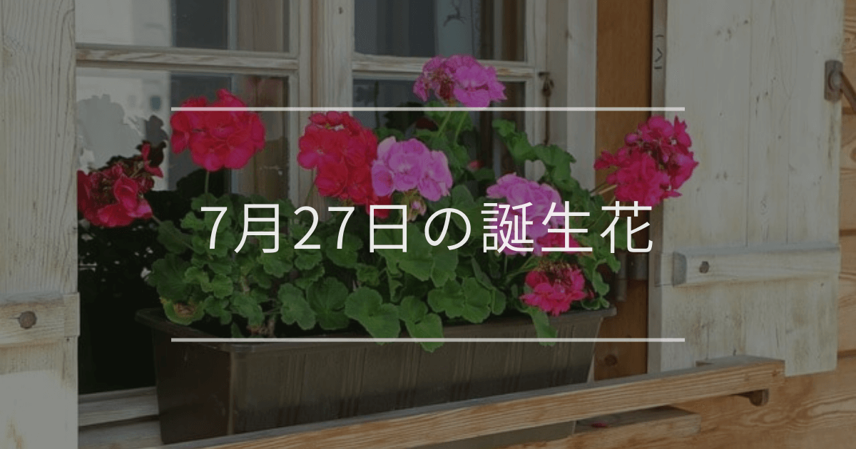 7月27日の誕生花