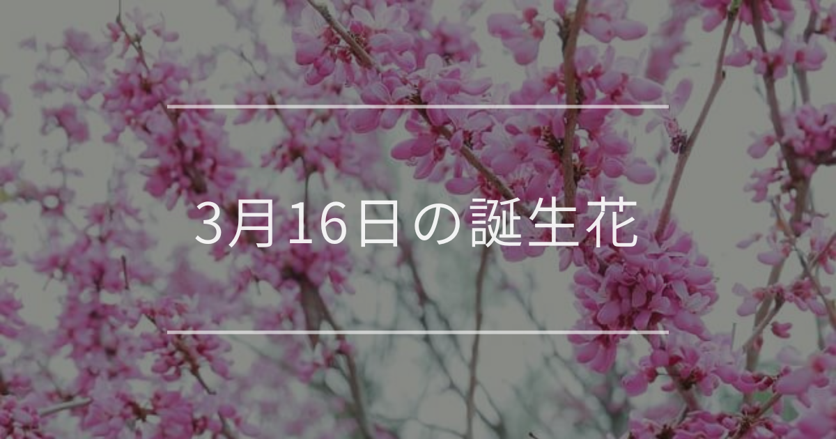 3月16日の誕生花