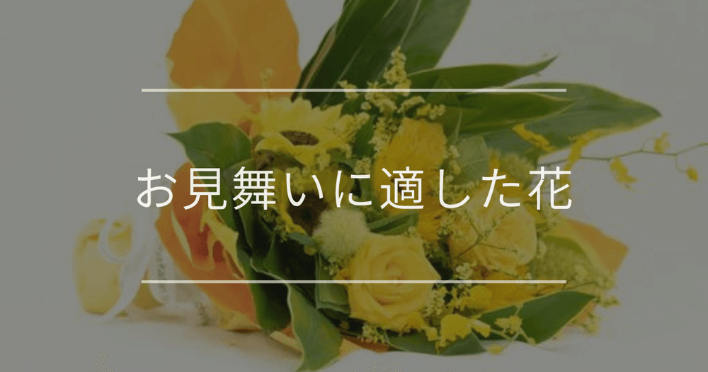 お見舞いに花を贈る際のマナーやタブー、おすすめの花について
