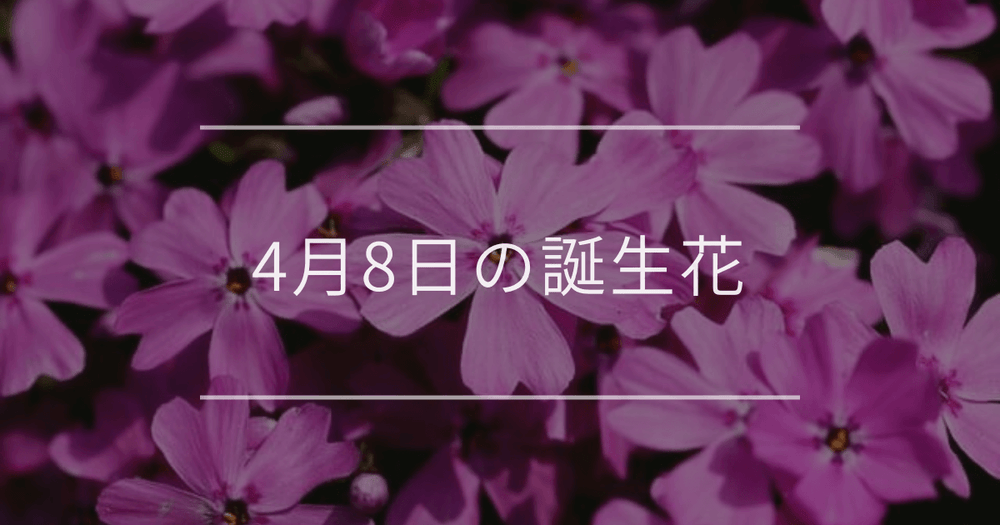 4月8日の誕生花：シバザクラ・レンゲソウ(ゲンゲ)の花言葉など