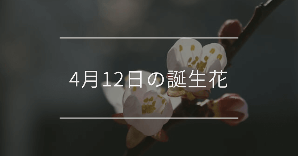 4月12日の誕生花：アンズ(杏)・モモの誕生花など