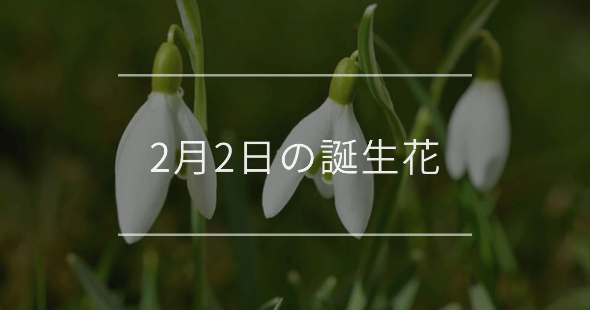 2月2日の誕生花