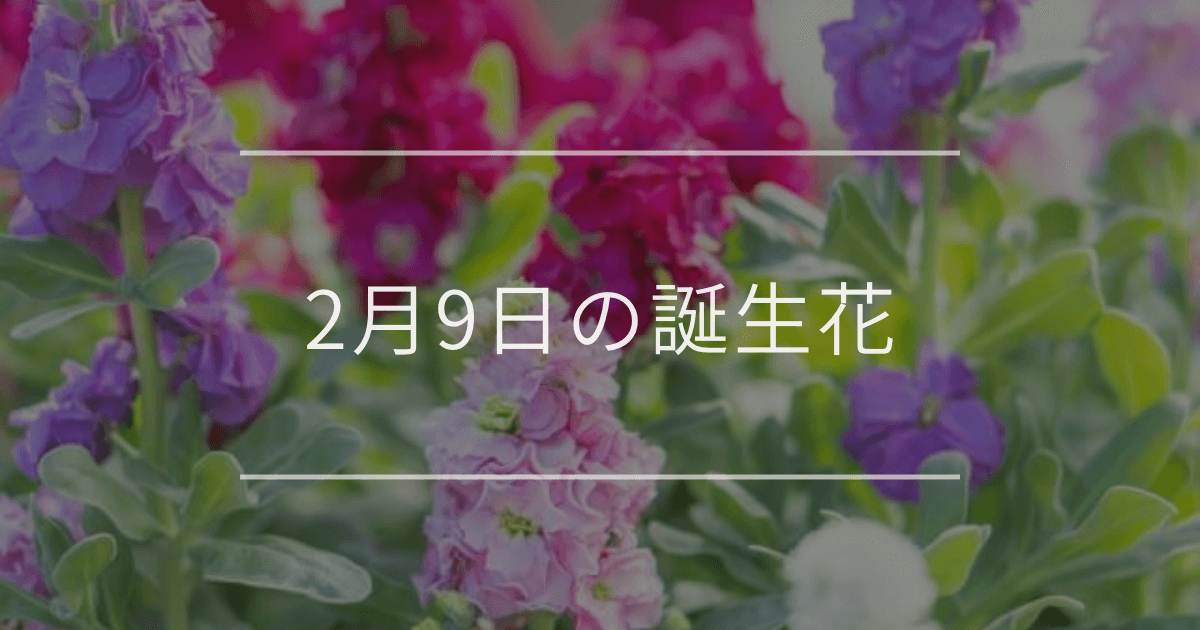 2月9日の誕生花