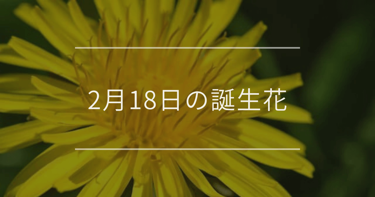 2月18日の誕生花