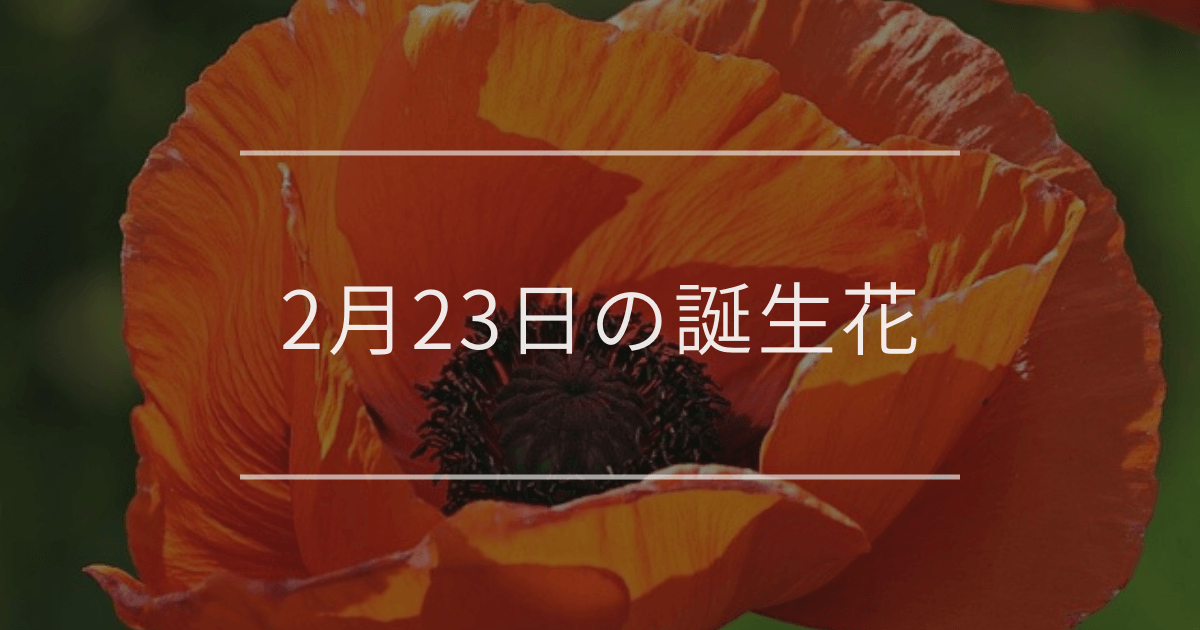 2月23日の誕生花