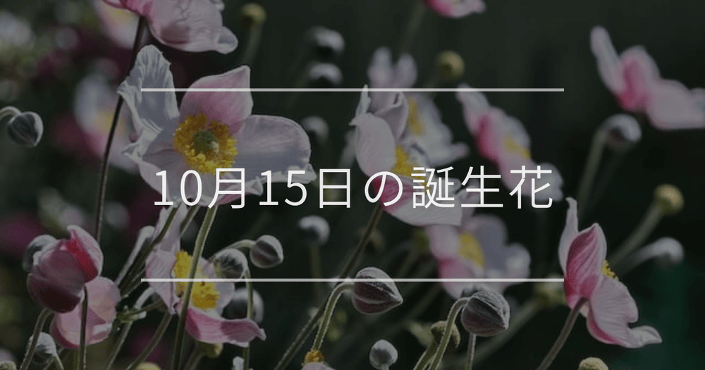 10月15日の誕生花：シュウメイギク・ミセバヤの花言葉など