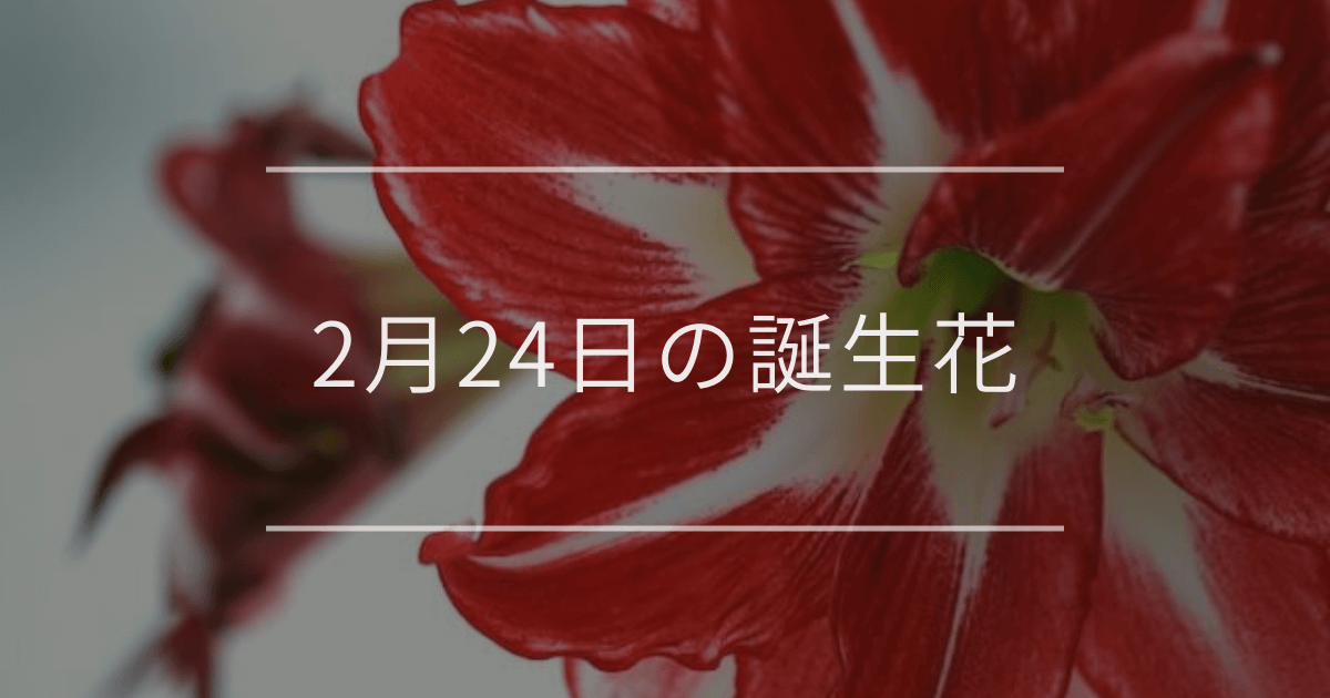 2月24日の誕生花