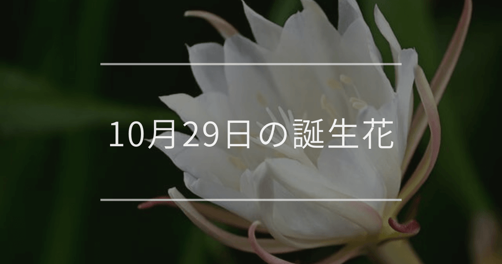 10月29日の誕生花：ゲッカビジン(月下美人)・ストレプトカーパスの花言葉など