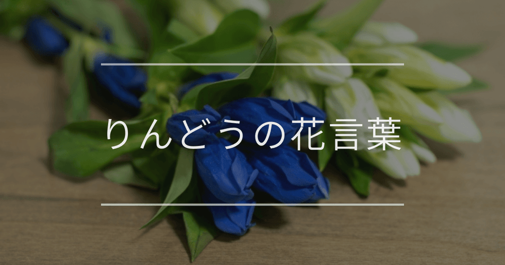 りんどうの花言葉｜色別や誕生花、名前の由来