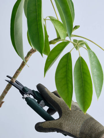 Sakagen Pruning Shears