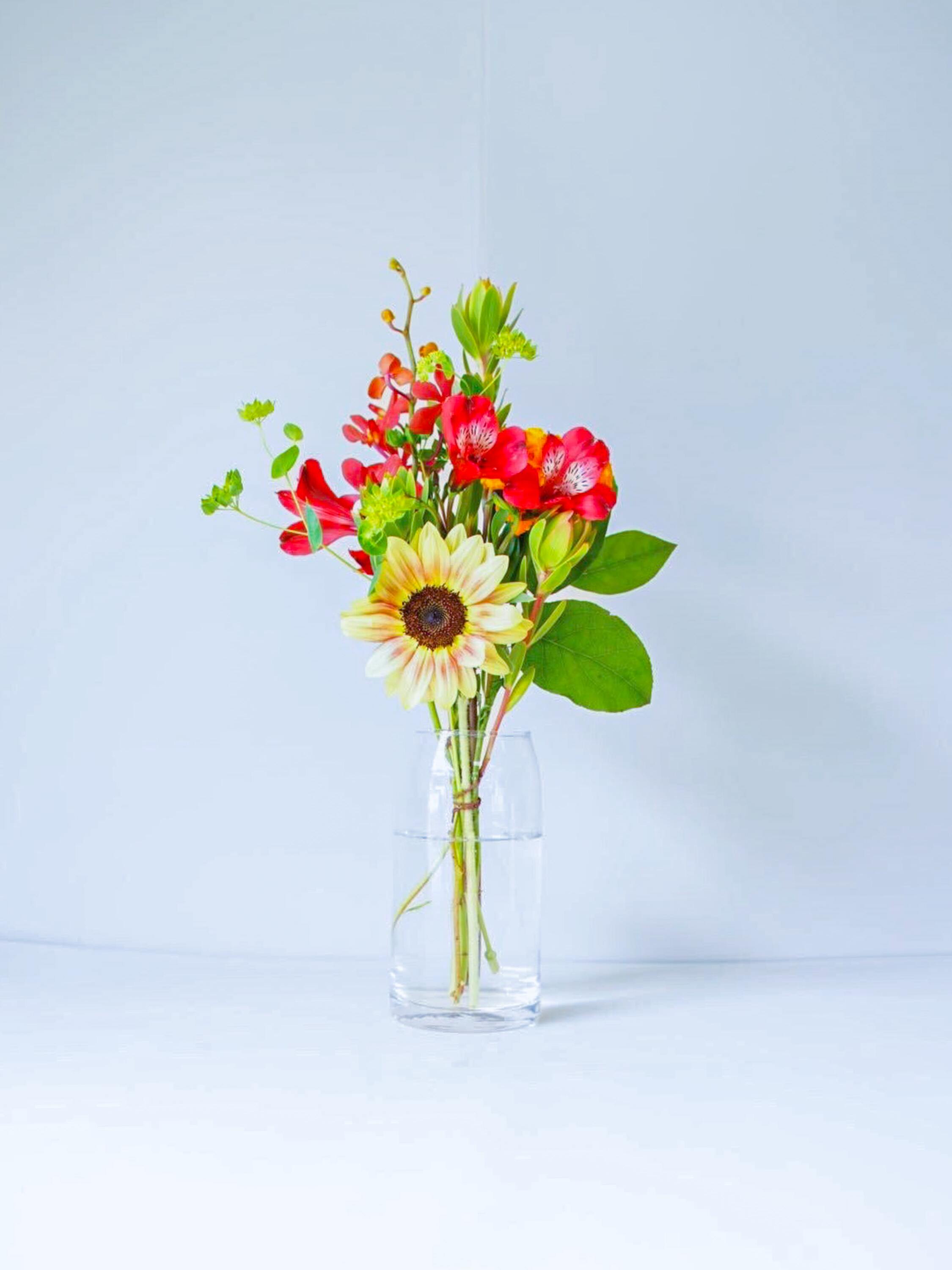 【誕生日ギフト】 フローリストにおまかせ 季節の花束 S - ミックス -