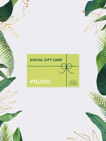 DIGITAL GIFT CARD  10,000円