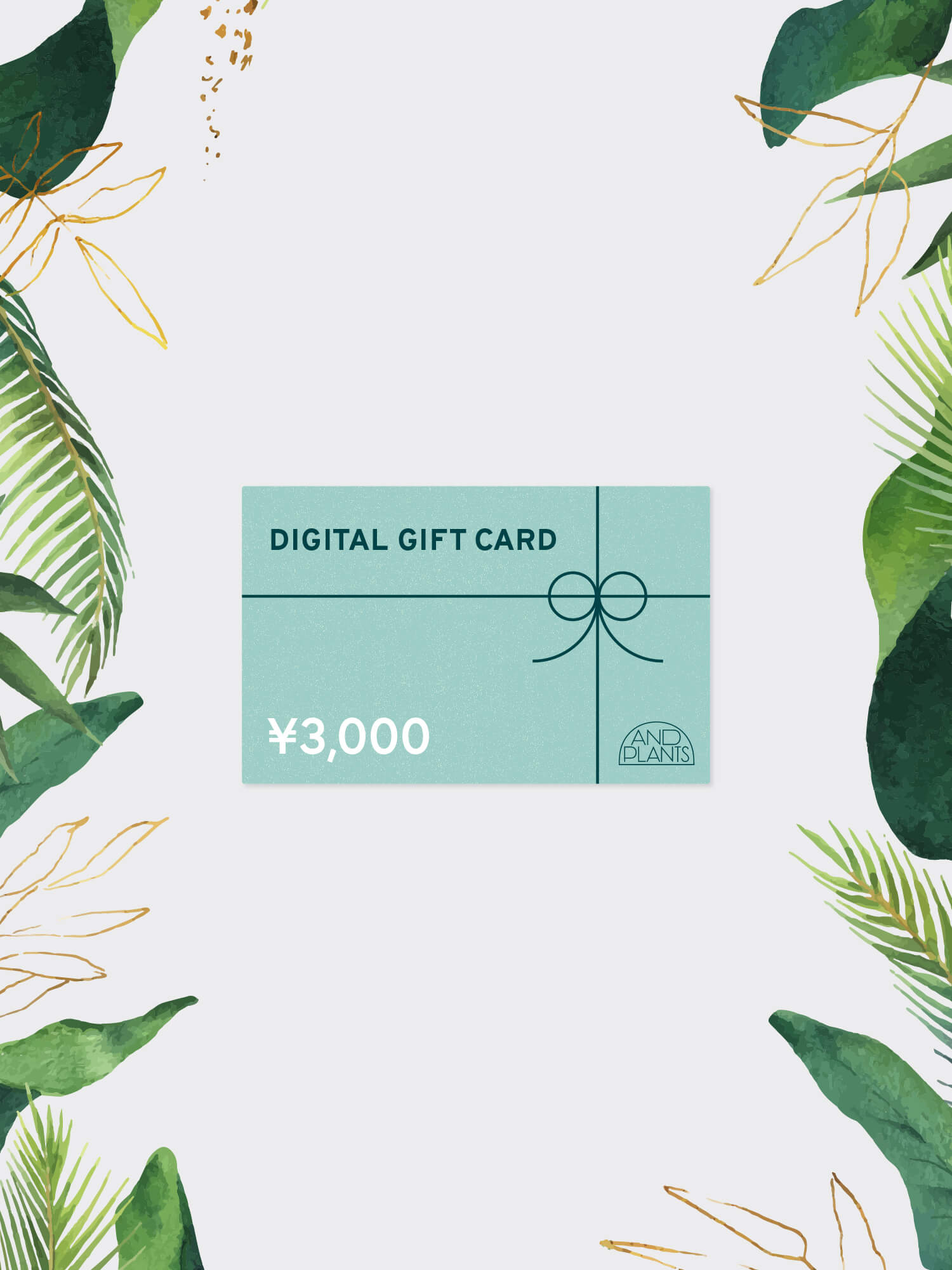 DIGITAL GIFT CARD 3,000円