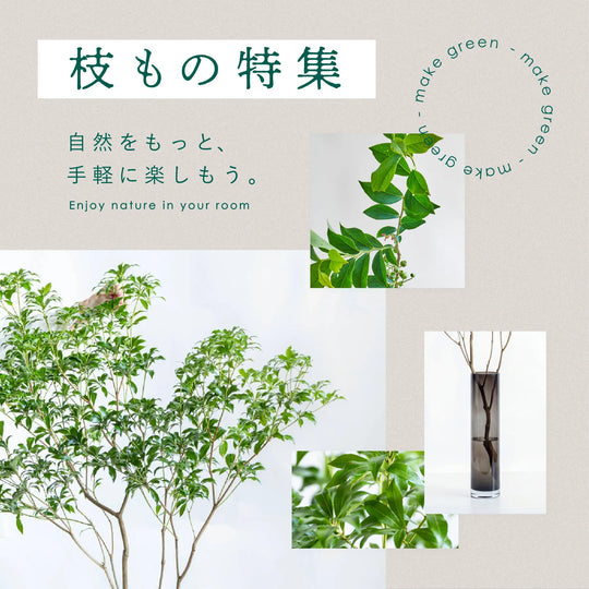 枝もの