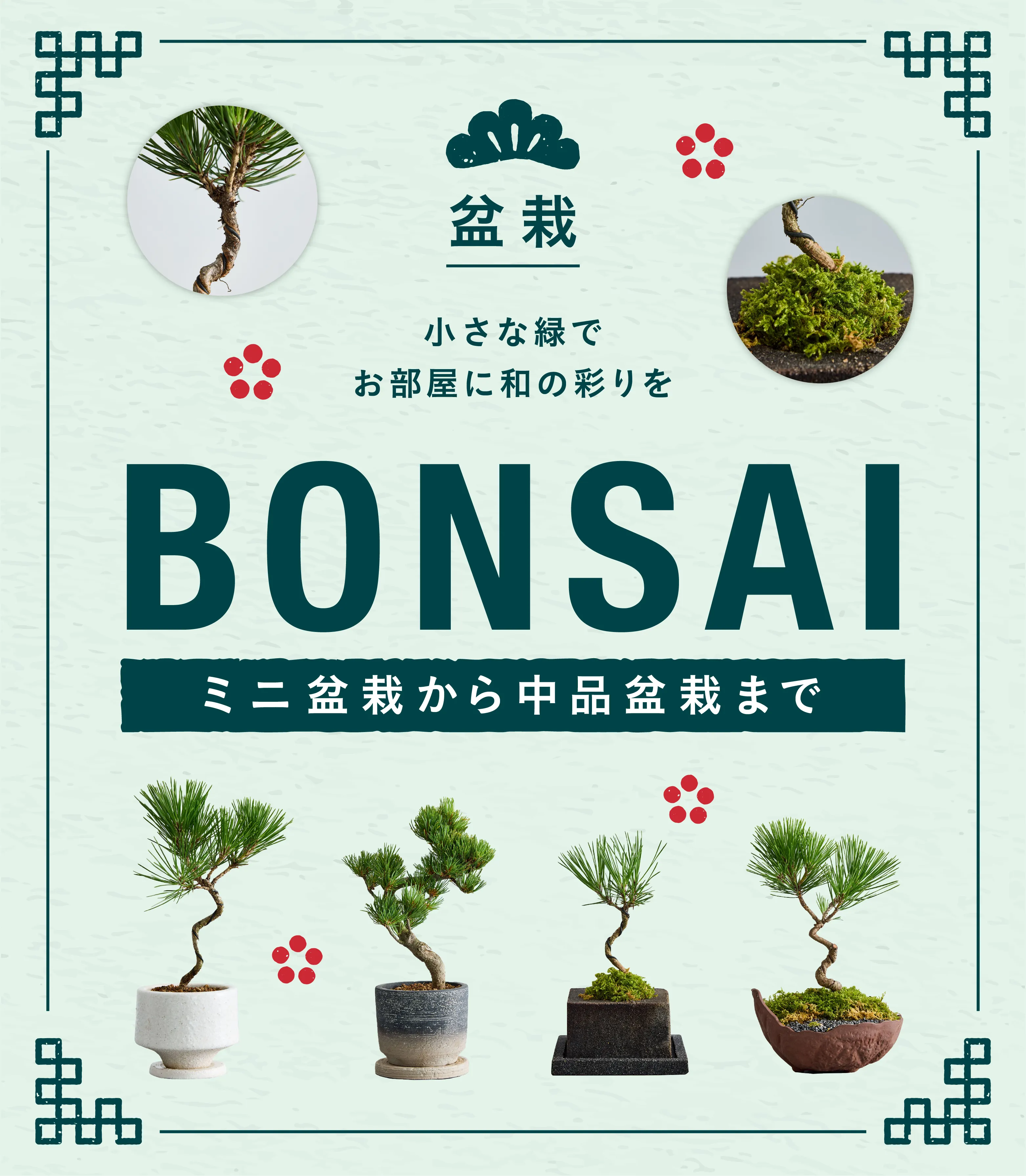 BONSAI