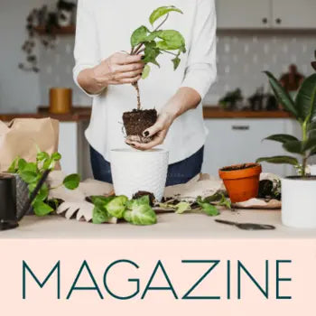 植物・花にまつわるハウツー